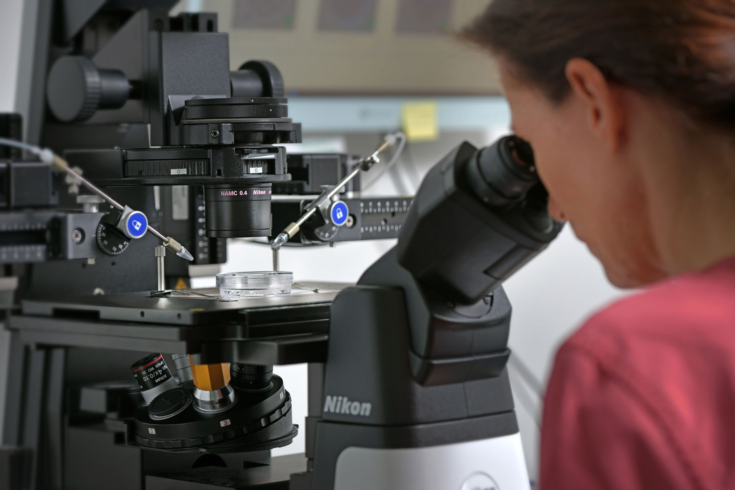 DIE QUALITÄT IHRER EIZELLEN